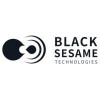 Black Sesame Technologies